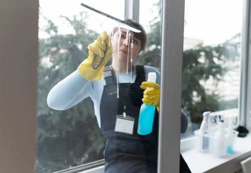 Nettoyage de vitres intérieures et extérieures à Saint-Offenge